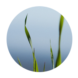 sherjc.com_at_year_two_cir